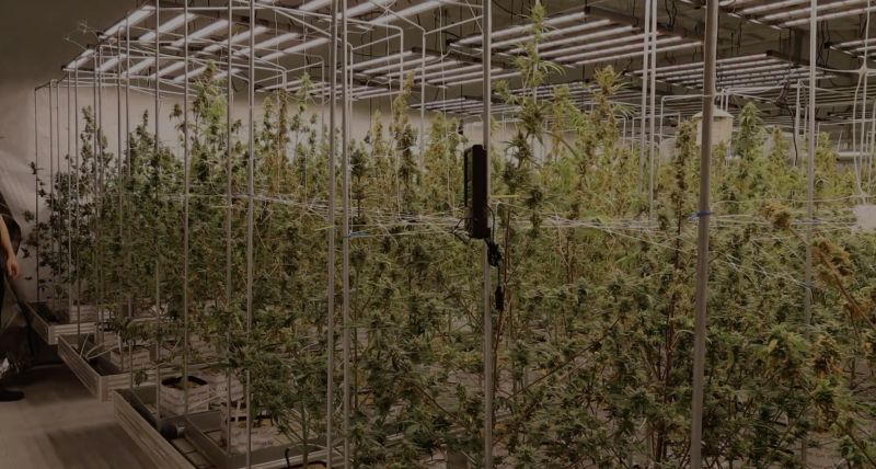 Breeding Facilities Episode 2