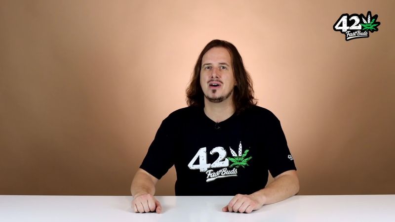 Purple Lemonade Auto