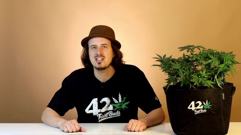 Strawberry Banana Auto