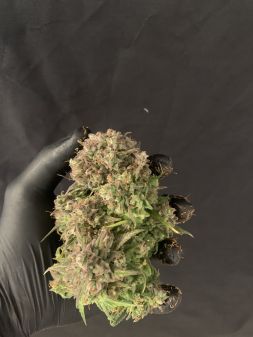 Review photo #2