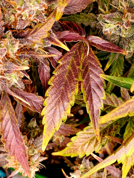 Review photo #2