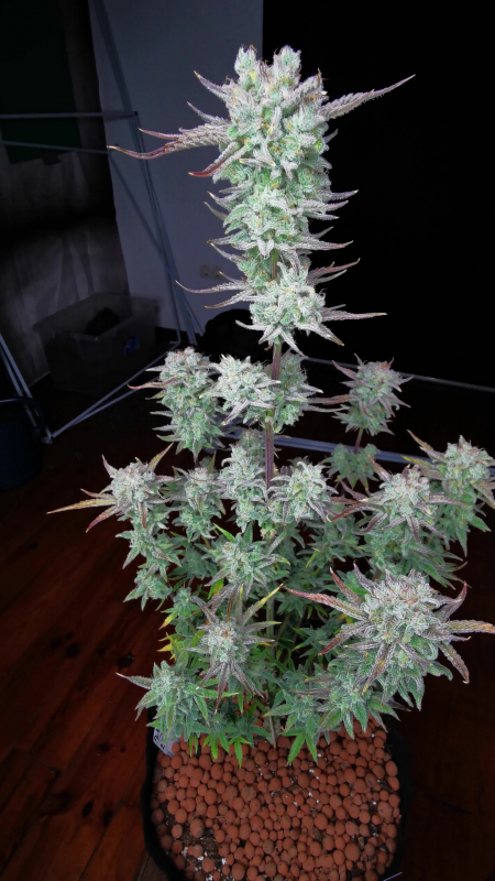 Review photo #6