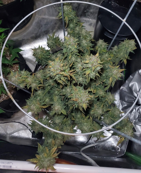 Review photo #3