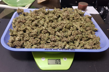 Review photo #2