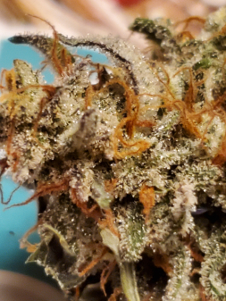 Review photo #5