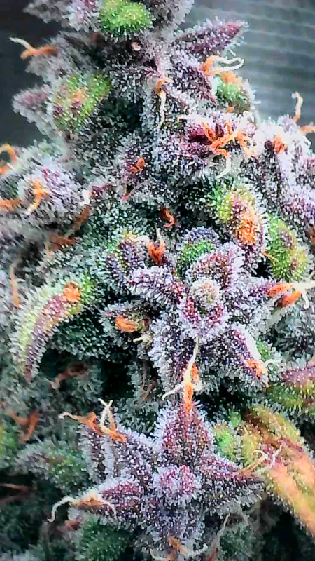 Review photo #2