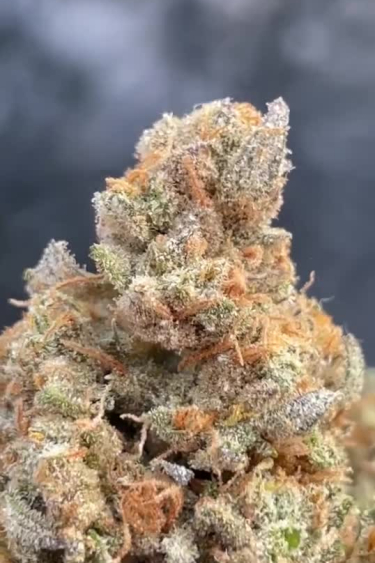 Sour Jealousy Auto™