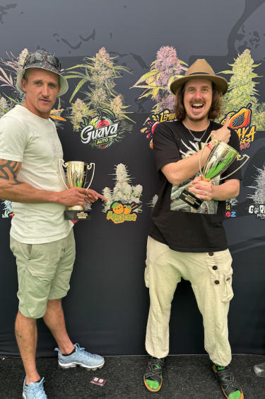 Instagram Apricot Auto