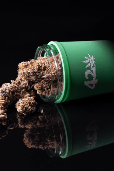 Instagram Apricot Auto