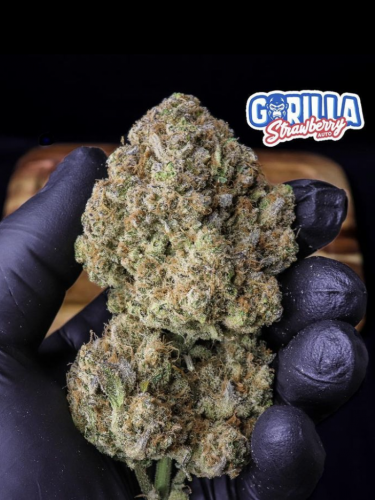 Instagram Strawberry Gorilla Auto