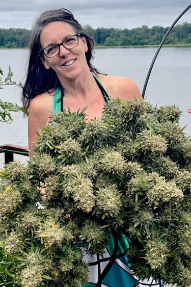 Instagram OG Kush Auto