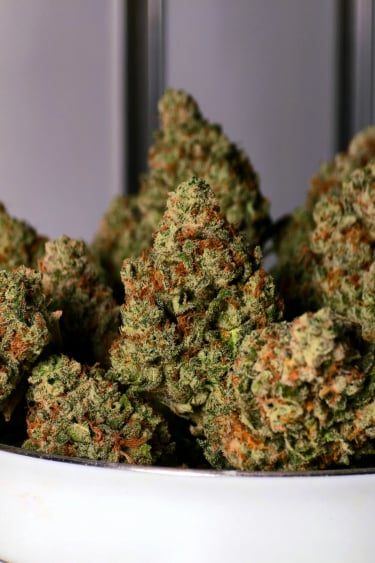 Instagram Frostbanger Auto