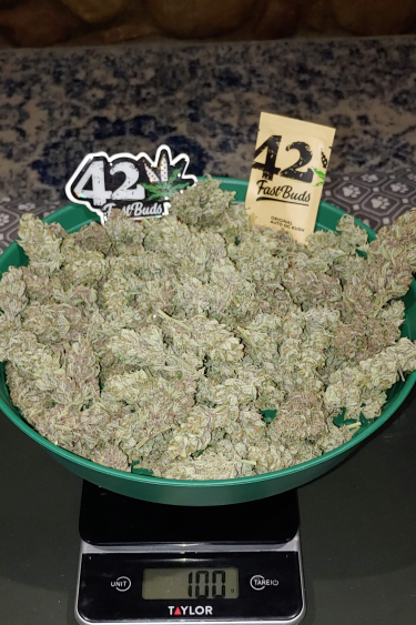 Instagram OG Kush Auto