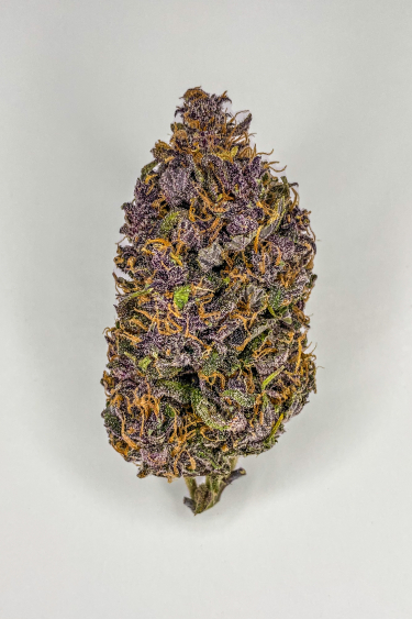 Instagram LSD25 Auto