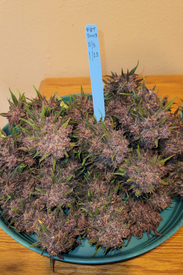 Instagram Lemon Cherry Cookies Auto