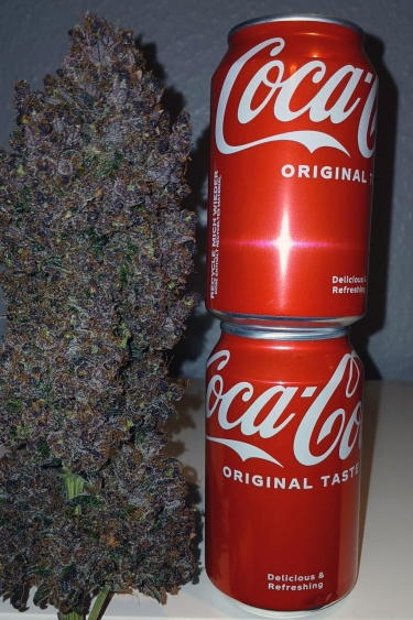 Instagram Purple Lemonade Auto