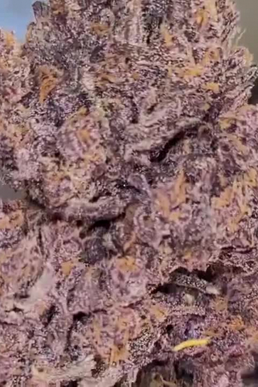 Purple Lemonade Auto