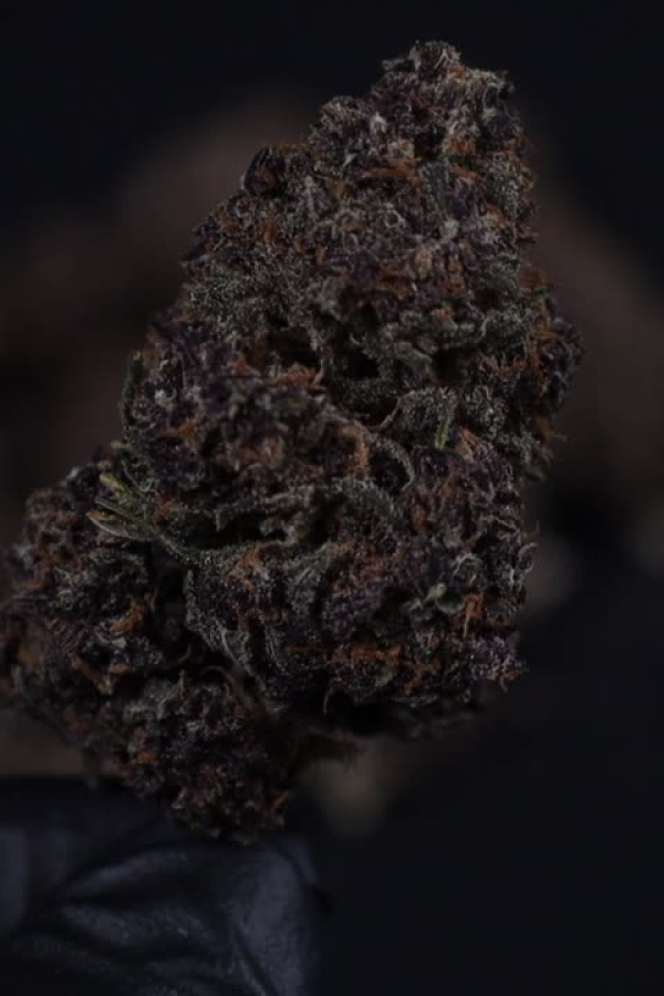 Banana Purple Punch Auto RF3