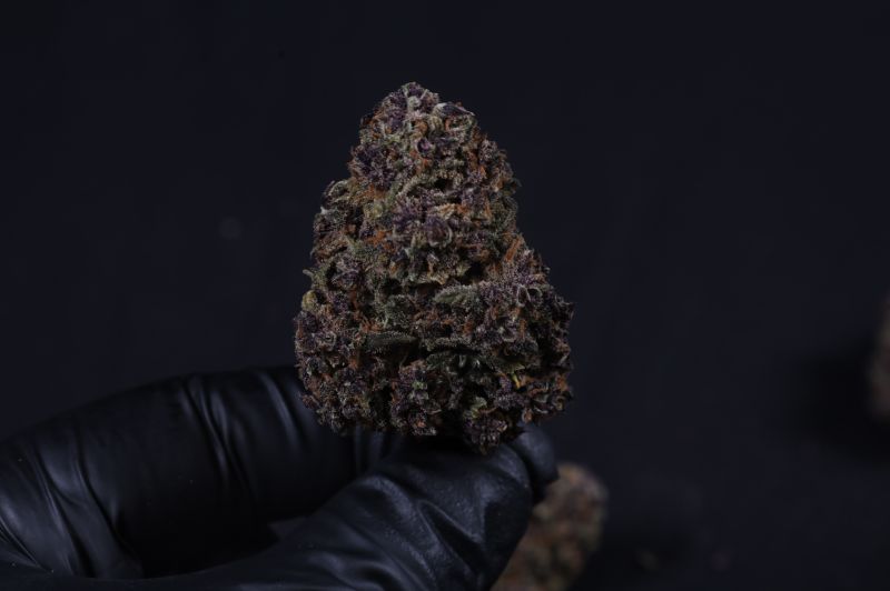 Instagram Mix Pack Auto RF3