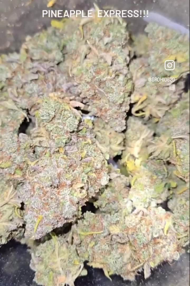 Pineapple Express Auto