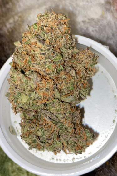 Instagram Smoothie Auto