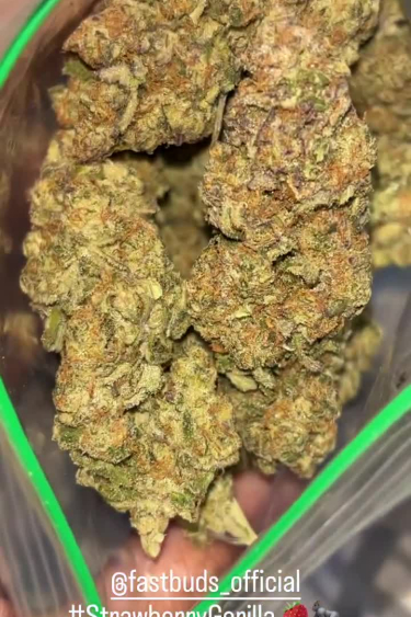 Strawberry Gorilla Auto