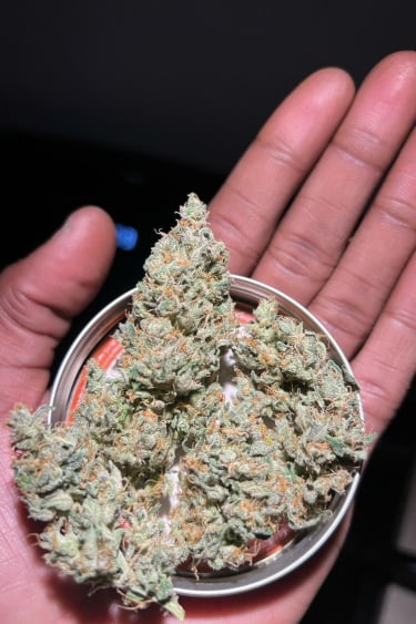 Instagram Big Bud Auto
