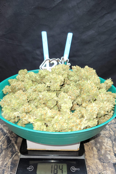 Instagram Trainwreck Auto