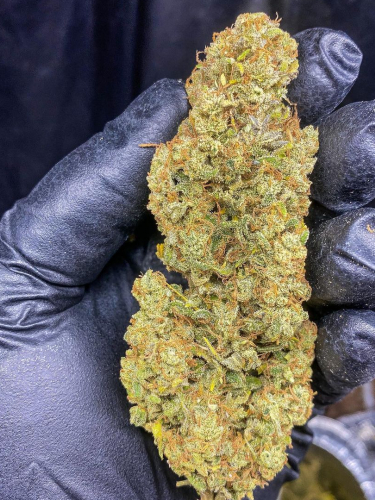 Instagram Wedding Cheesecake Auto