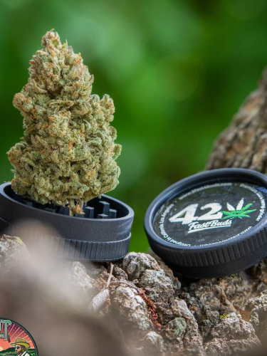 Instagram Afghan Kush Auto