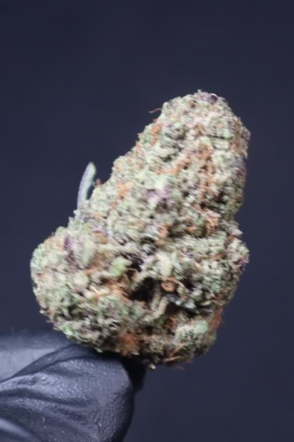 Cherry Cola Auto RF3