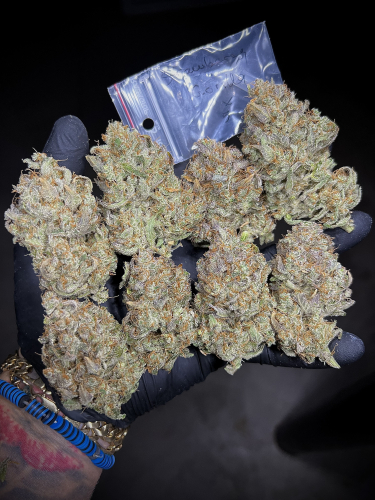 Instagram Strawberry Gorilla Auto