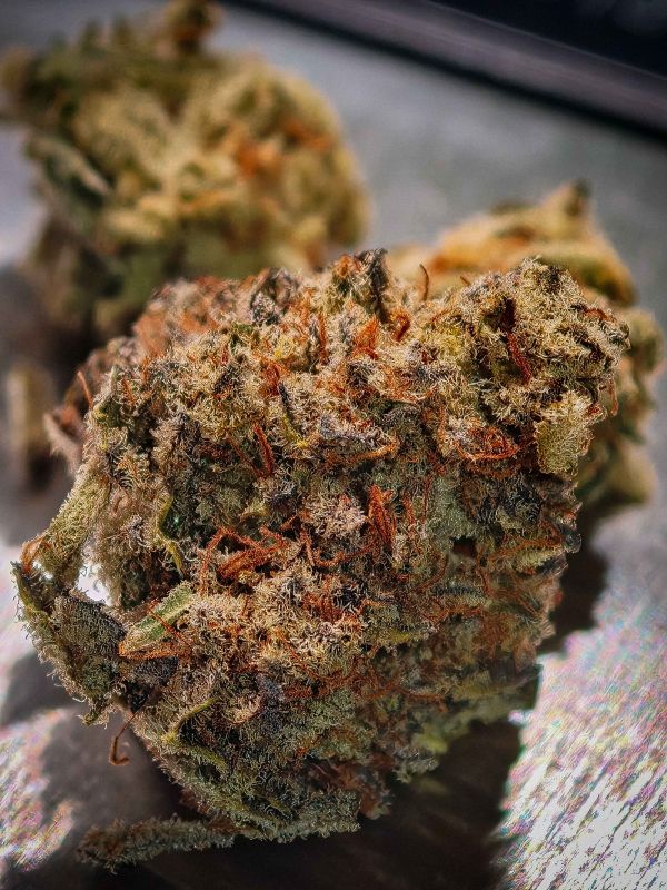 Instagram Mix Pack FF