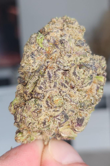 Instagram Wedding Glue Auto