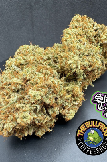 Instagram Forbidden Runtz Auto