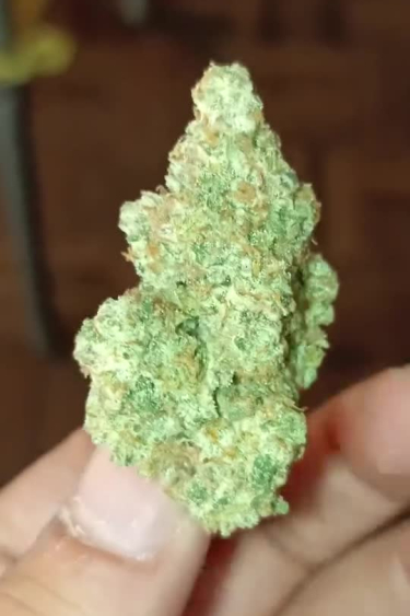 Strawberry Gorilla Auto