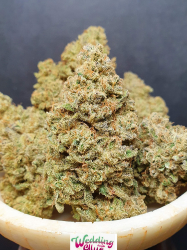 Instagram Wedding Glue Auto