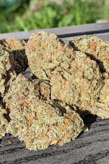 Instagram Wedding Glue Auto