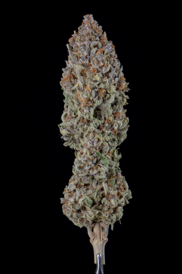 Instagram Strawberry Pie Auto