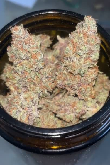 Forbidden Runtz Auto