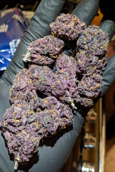 Instagram Blackberry Auto