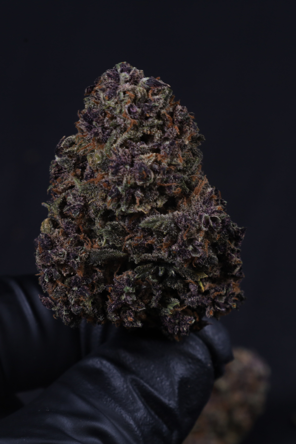 Instagram Banana Purple Punch Auto RF3