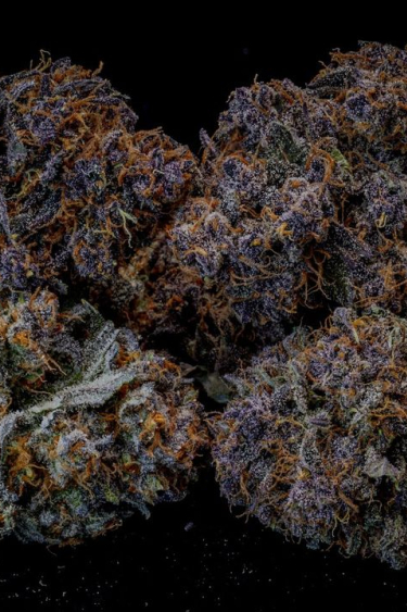 Instagram Lemon Cherry Cookies Auto