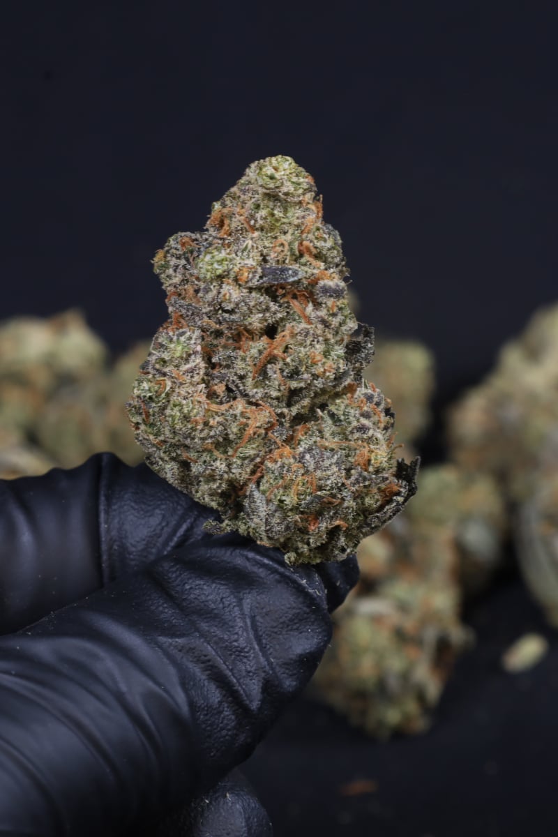 Photo of Guava Auto RF3