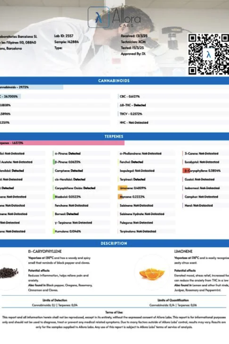 Photo of Frostbanger Auto