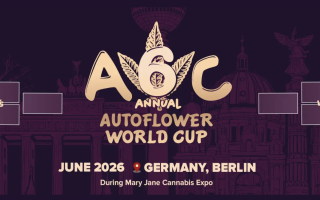 Autoflower World Cup 2026